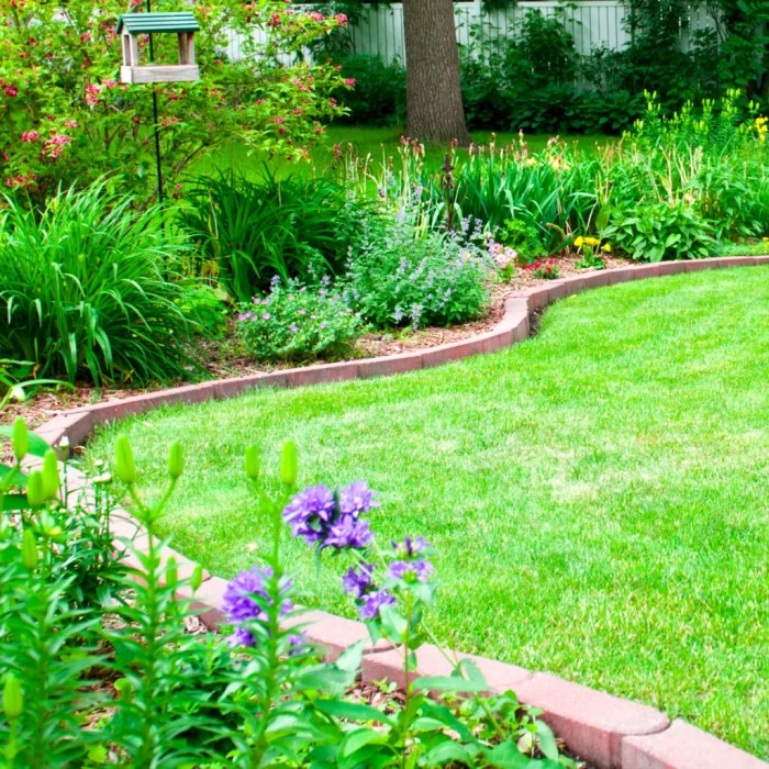 Crafting Affordable Backyard Landscaping Solutions: Transforming Your Outdoor Space on a Budget
